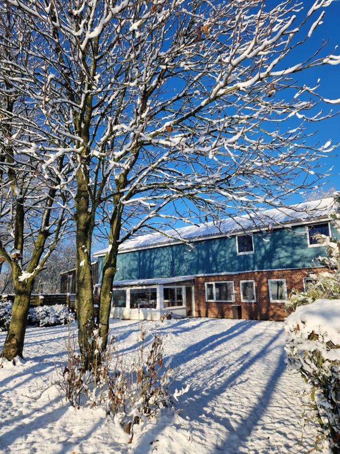 Ferienwohnung Sort Sol Grellsbülldeich 7 Aventoft Exterior foto