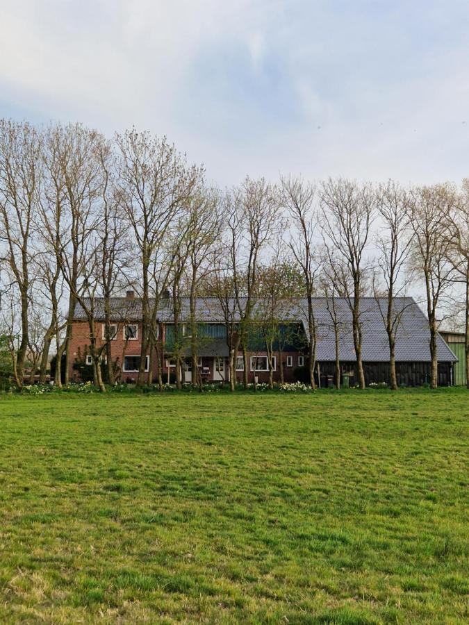 Ferienwohnung Sort Sol Grellsbülldeich 7 Aventoft Exterior foto